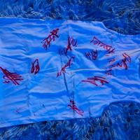 Maglia firmata dai calciatori del Milan 