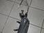 Immagine 12