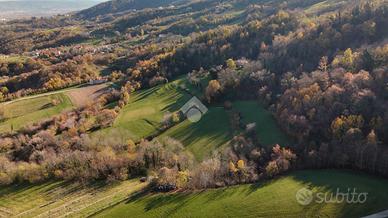 TER. AGRICOLO A CHIAMPO