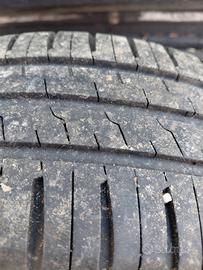 gomme estive 