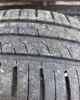 gomme estive 