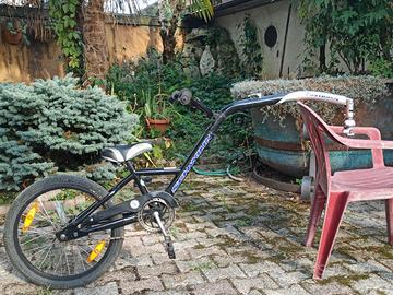rimorchio tandem bicicletta