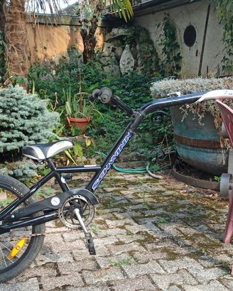 rimorchio tandem bicicletta