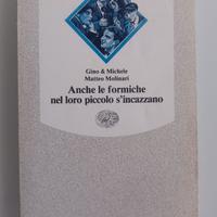 Anche le formiche nel loro piccolo s'incazzano