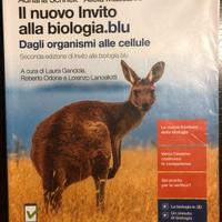 Libri scolastici