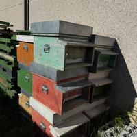 Arnie portichetto da 12 e 10 favi