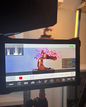 Monitor da campo Desview R7III