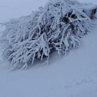 Qualche giorno sulla neve