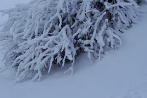 Qualche giorno sulla neve