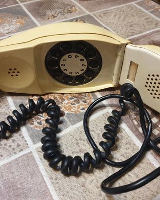 telefono grillo