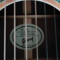 Gibson J15