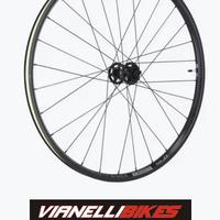 RUOTA ANTERIORE XLC WS-M06 BOOST 29" DISC TLR