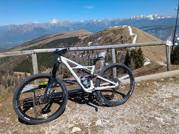 Specialized enduro 2019