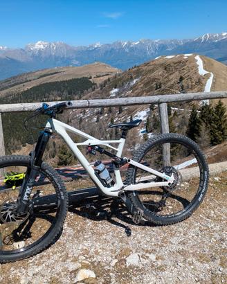 Specialized enduro 2019