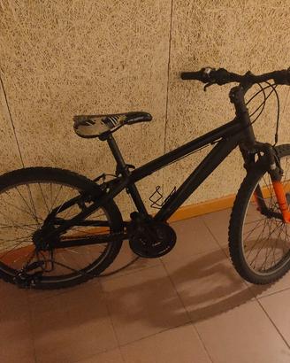 mtb bici