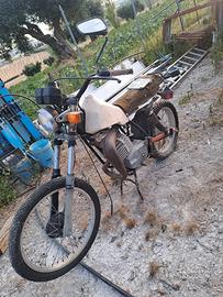 Moto gori scambler