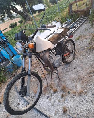 Moto gori scambler