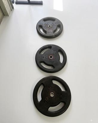 Dischi Domyos Decathlon