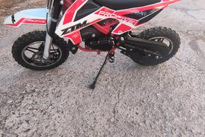 pitbike profive ztm 50 cc