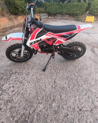pitbike profive ztm 50 cc