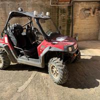 Polariz buggy Rzr 800