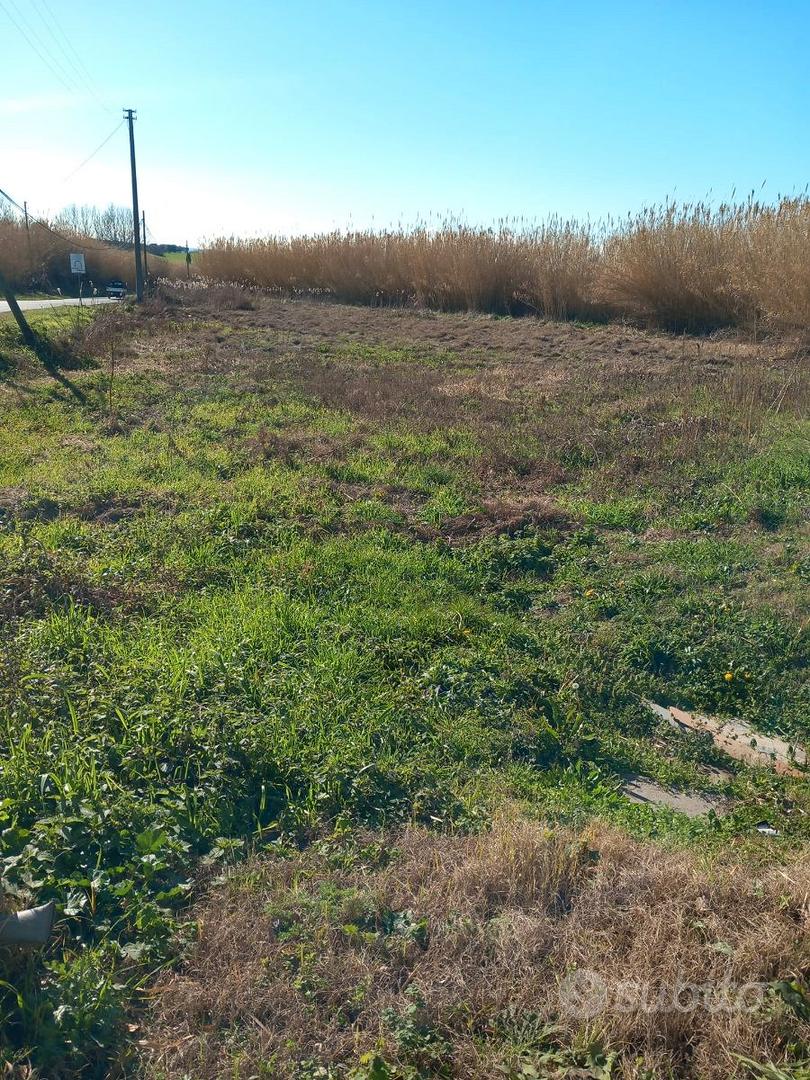 TERRENO A 3 KM DA VITERBO - Vista 2