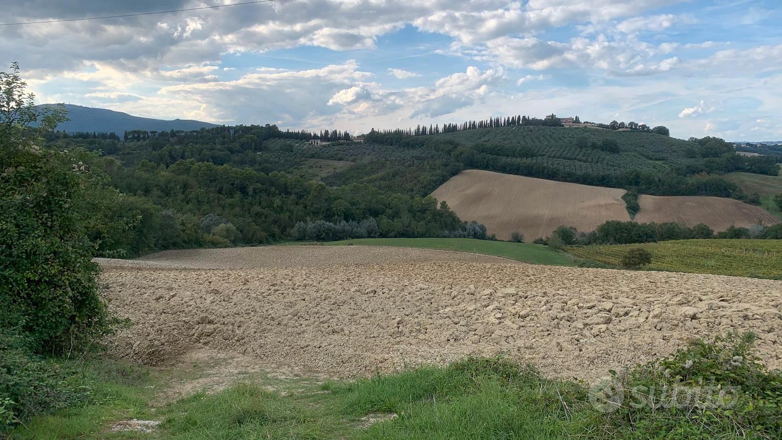 Terreni - frazionabili su richiesta - Spoleto (PG) - View 3