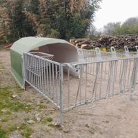 Box collettivo per vitelli