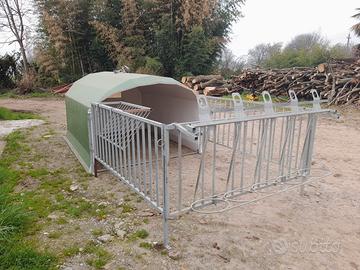 Box collettivo per vitelli