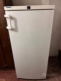 Congelatore LIEBHERR
