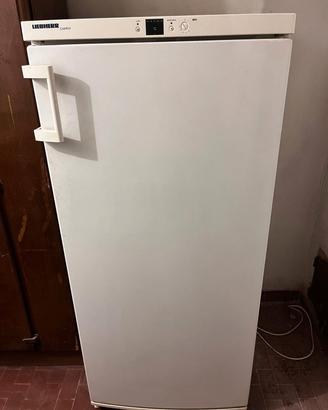 Congelatore LIEBHERR