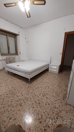 Camera Pietralata metro B