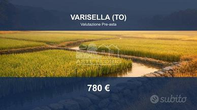 Immobile in asta di 5776 m² a Varisella
