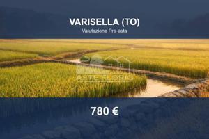 Immobile in asta di 5776 m² a Varisella