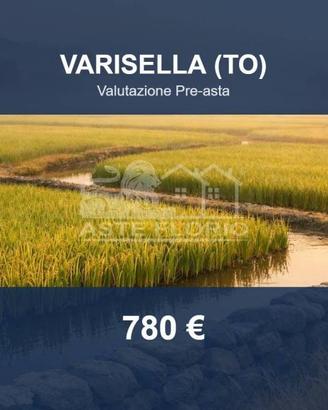 Immobile in asta di 5776 m² a Varisella