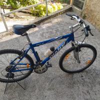 Mountain bike. 