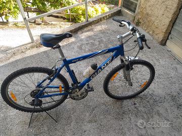 Mountain bike. 