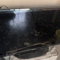 Televisione
