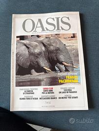 Oasis n7/8 1992