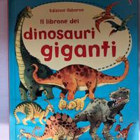 Libri didattici tema Dinosauri per bambini