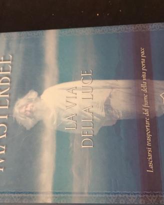 masterbee la via della luce