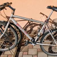 Bicicletta Grigia Mountain Bike Nuzzi Padova