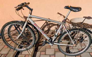 Bicicletta Grigia Mountain Bike Nuzzi Padova