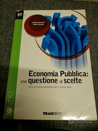 Economia pubblica: una questione di scelte