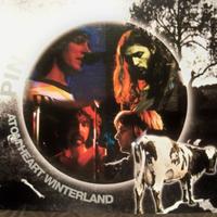 Pink Floyd - Atom Heart Winterland 2cd 1970