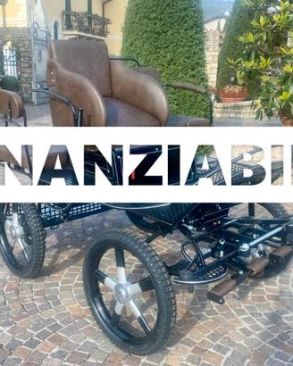 Carrozza per cavallo marathon per doppio pony