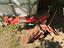 Immagine 1