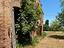 Immagine 16