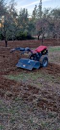 motocoltivatore 10 cv