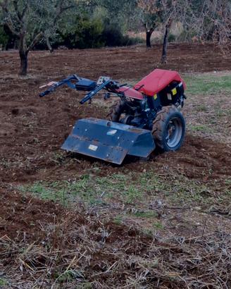 motocoltivatore 10 cv